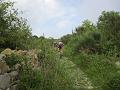 LIGURIAMTB13 (115)